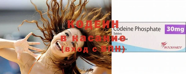 гашик Ветлуга