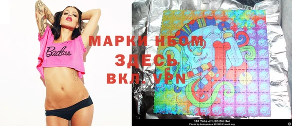 гашик Ветлуга
